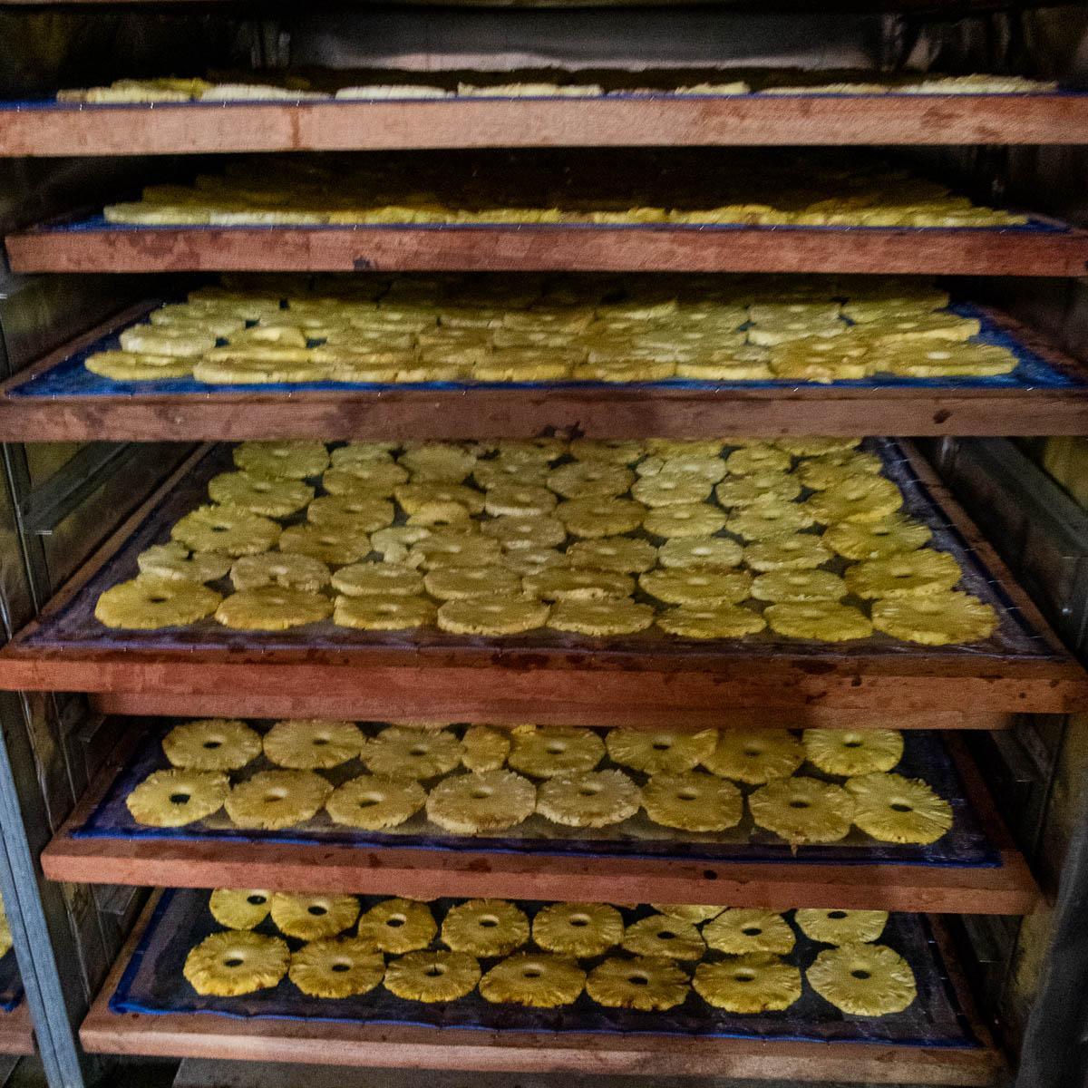 Ananas getrocknet - Image 6