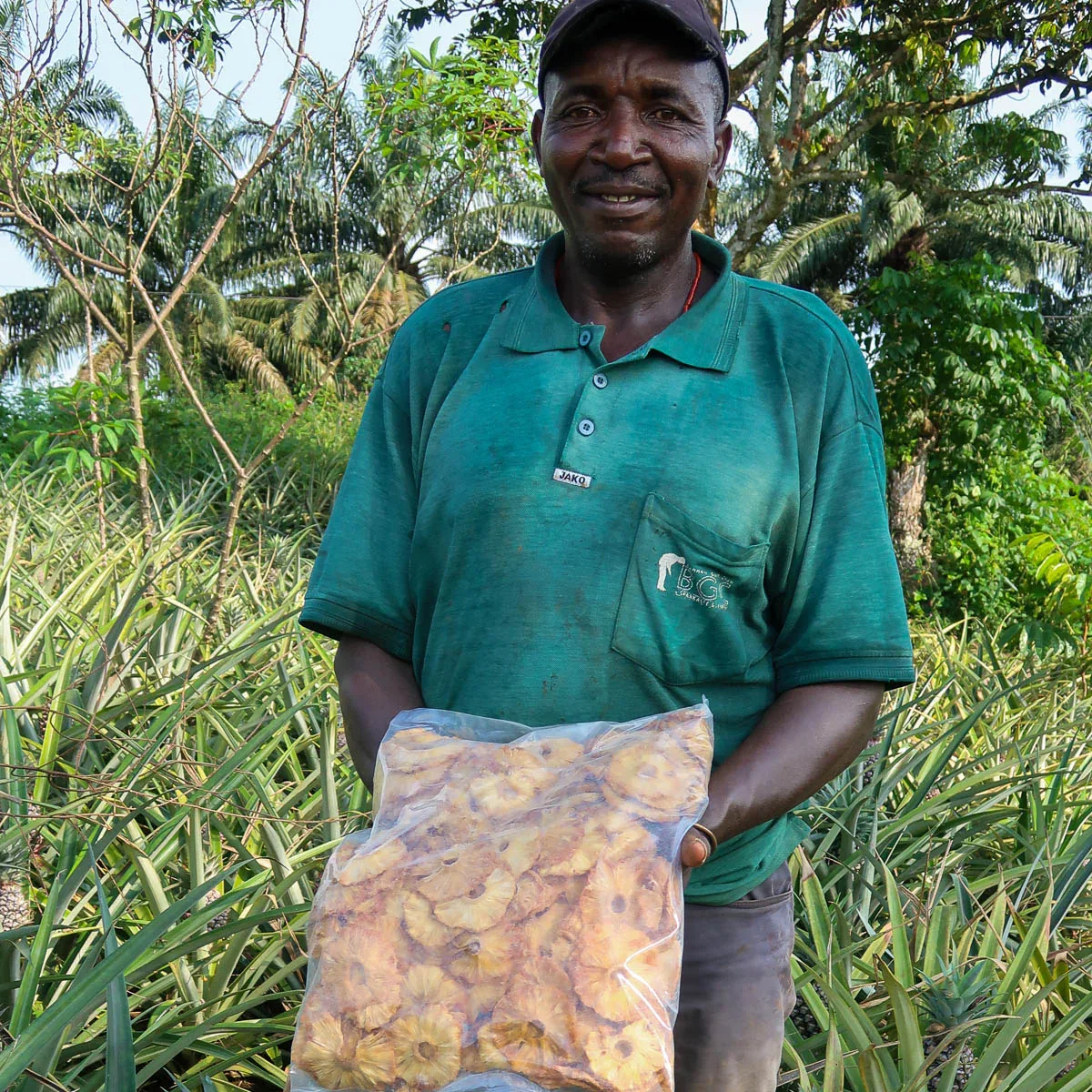 Ananas getrocknet - Image 9