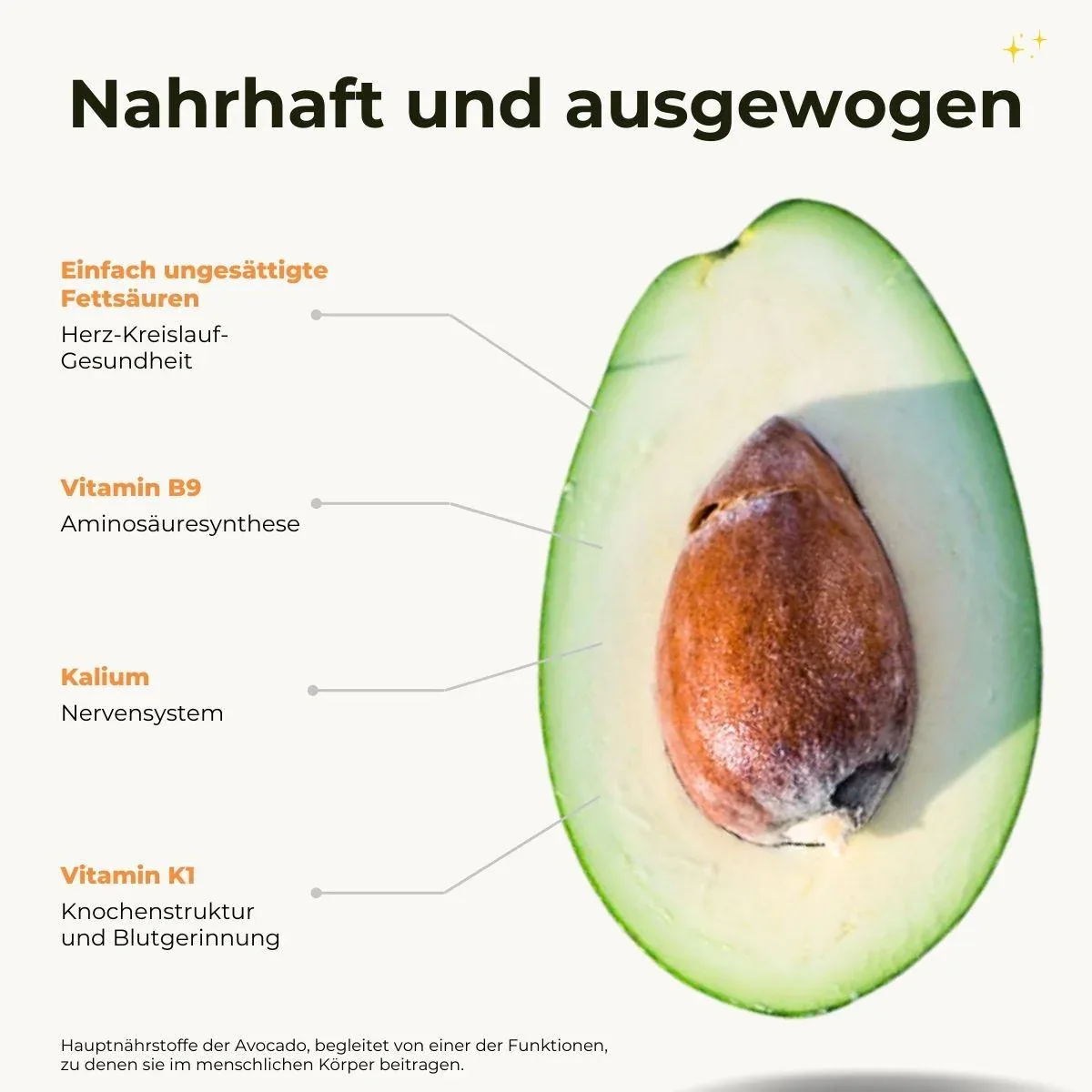 Avocado Bacon - Image 4