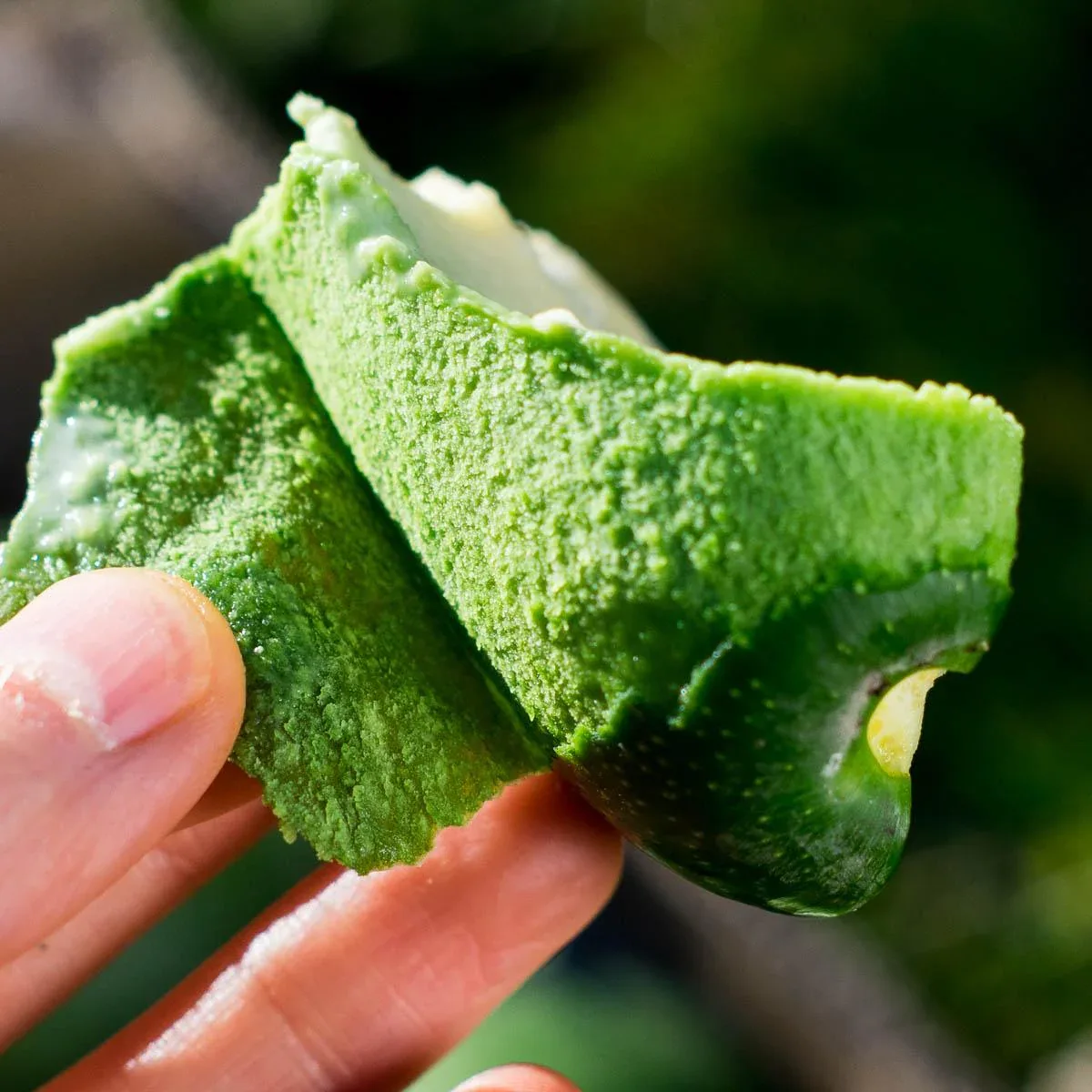 Avocado Bacon - Image 5