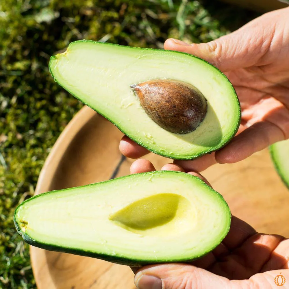 Avocado Box Mix - Image 3