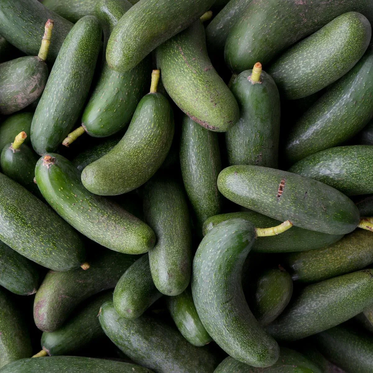 Avocado Cocktail Fuerte - Image 3