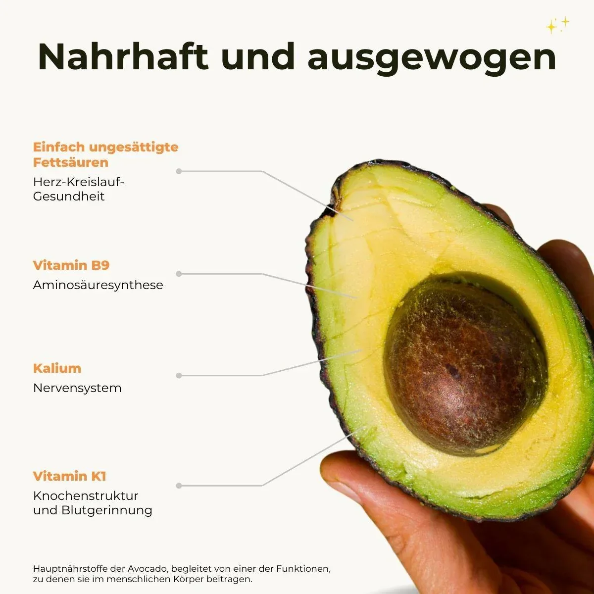 Avocado Hass - Image 11