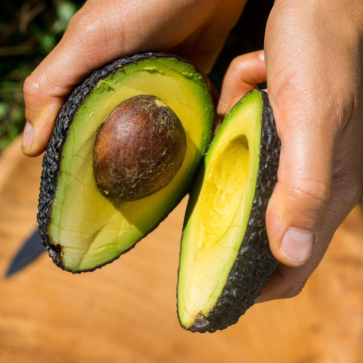 Avocado Hass - Image 4