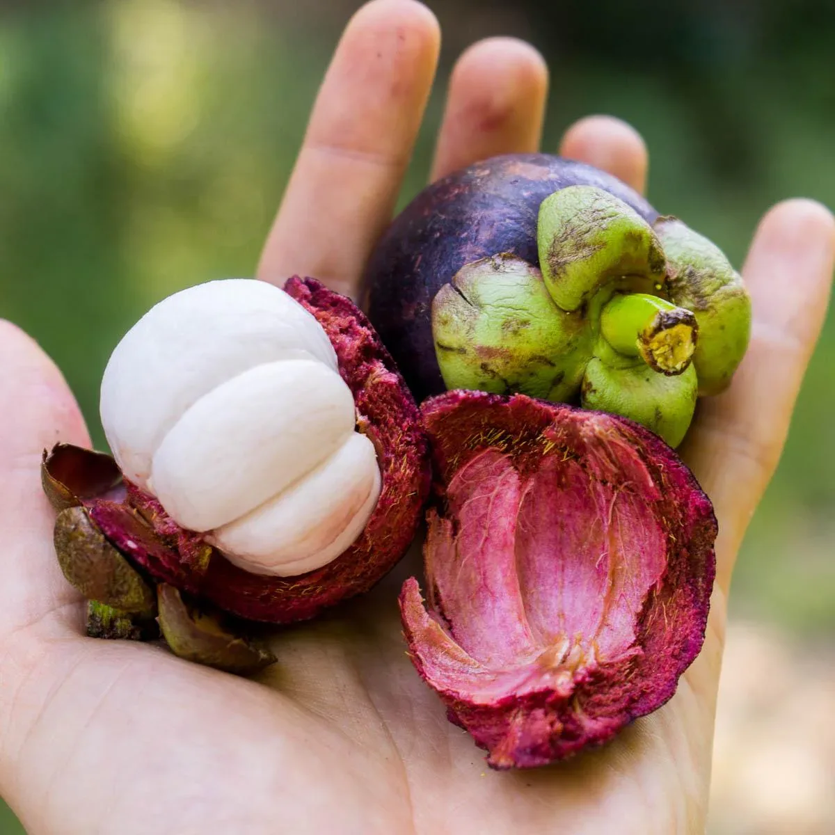 Box Mangostan süße Grenadilla - Image 6