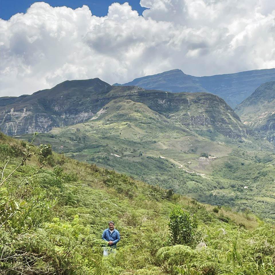 Drachenfrucht (Pitaya) gelb süß - Image 3