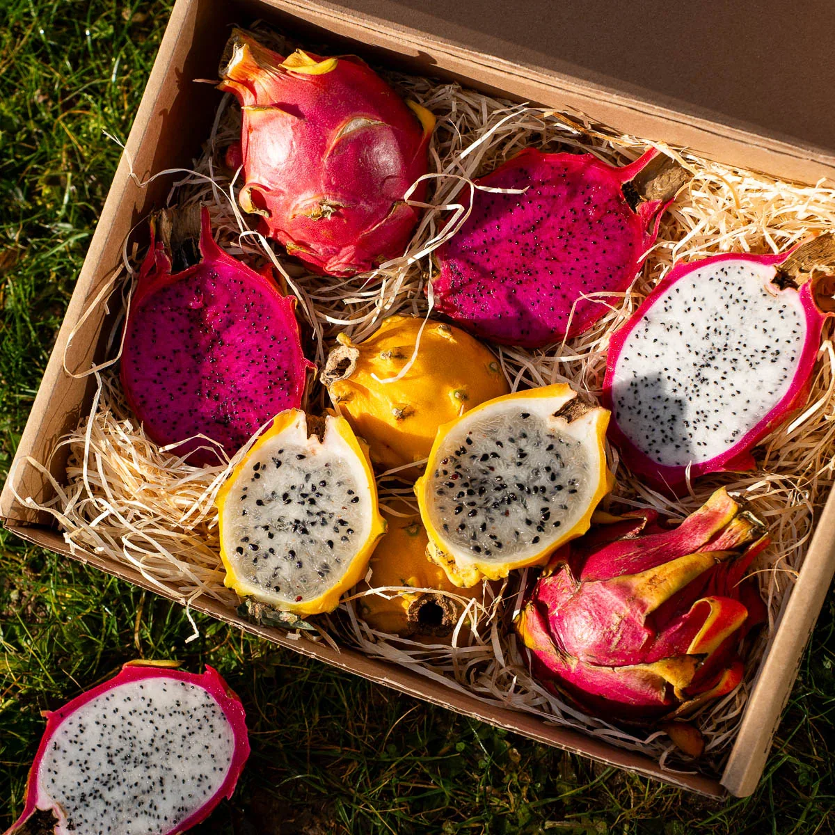 Drachenfrucht (Pitaya) Mix Box - Image 3