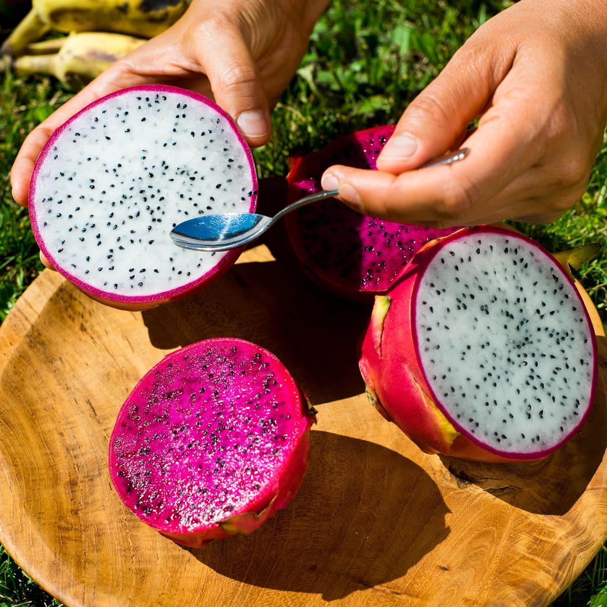 Drachenfrucht (Pitaya) Mix Box - Image 7