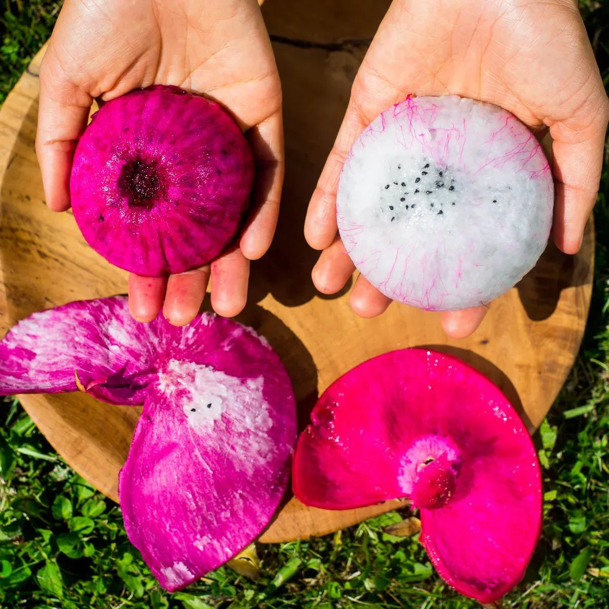 Drachenfrucht (Pitaya) Mix Box - Image 8