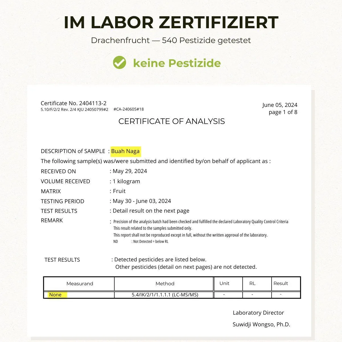 Drachenfrucht (Pitaya) rot - Image 6