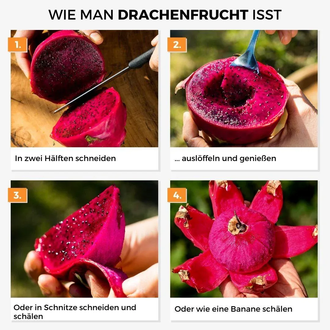 Drachenfrucht (Pitaya) rot - Image 9
