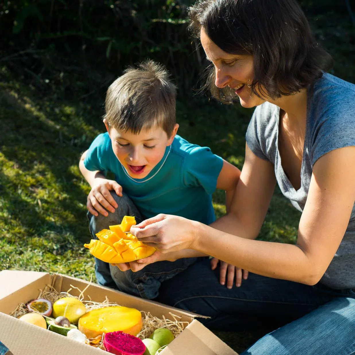 Entdeckerbox exotische Früchte - Image 3