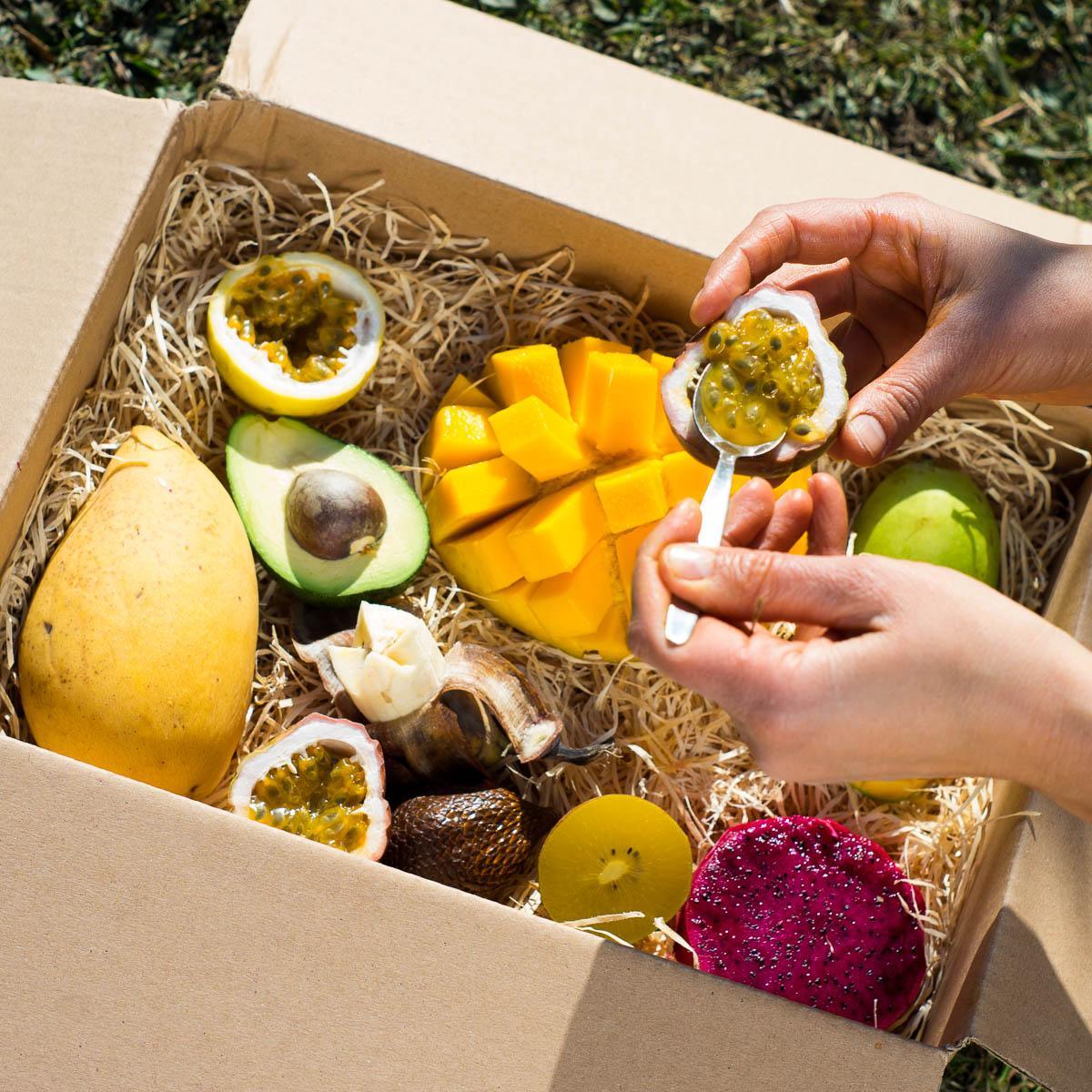 Entdeckerbox exotische Früchte - Image 5