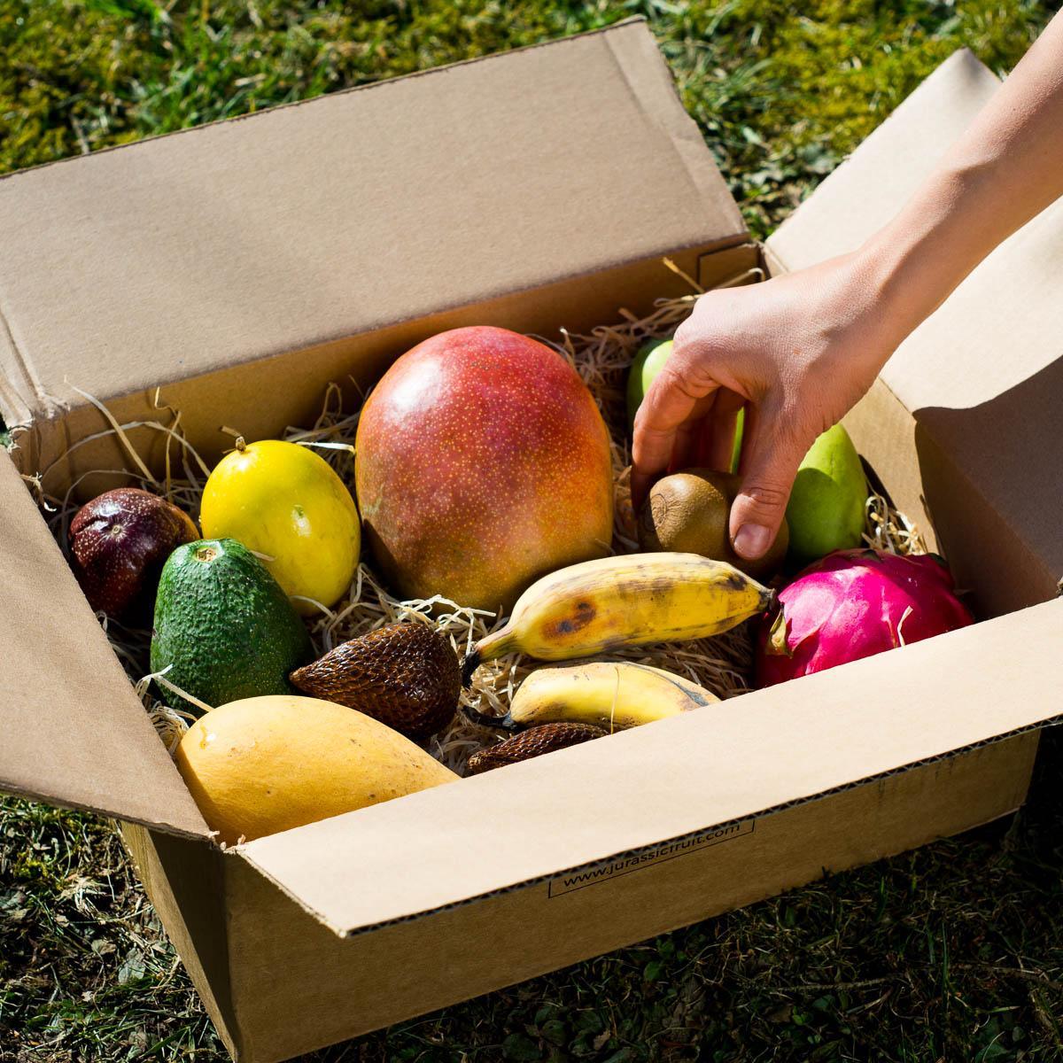 Entdeckerbox exotische Früchte - Image 6