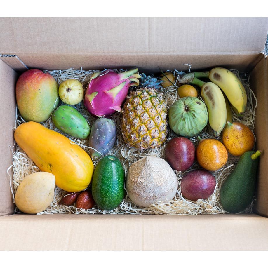 Entdeckerbox exotische Früchte - Image 7