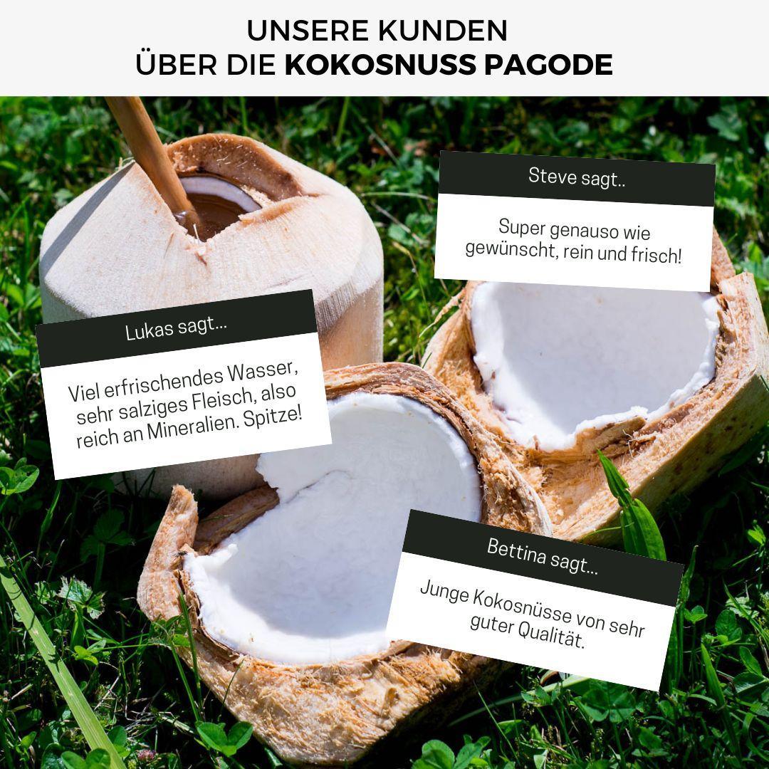 Junge Frische Trink Kokosnuss Pagode - Image 10