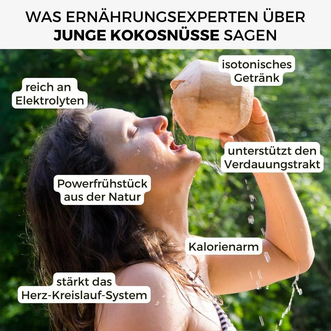 Junge Frische Trink Kokosnuss Pagode - Image 14