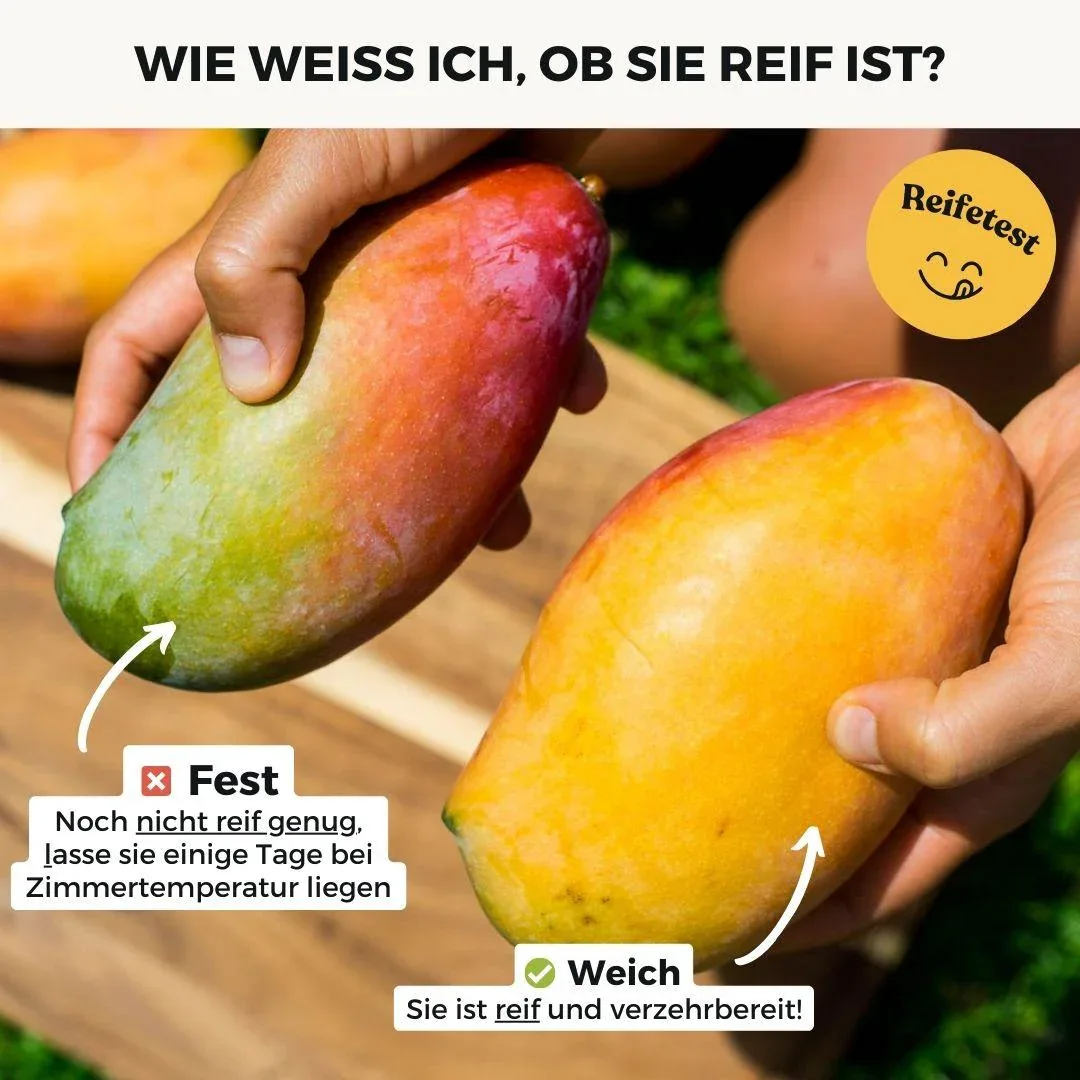 Mango Honig Ataulfo - Image 4