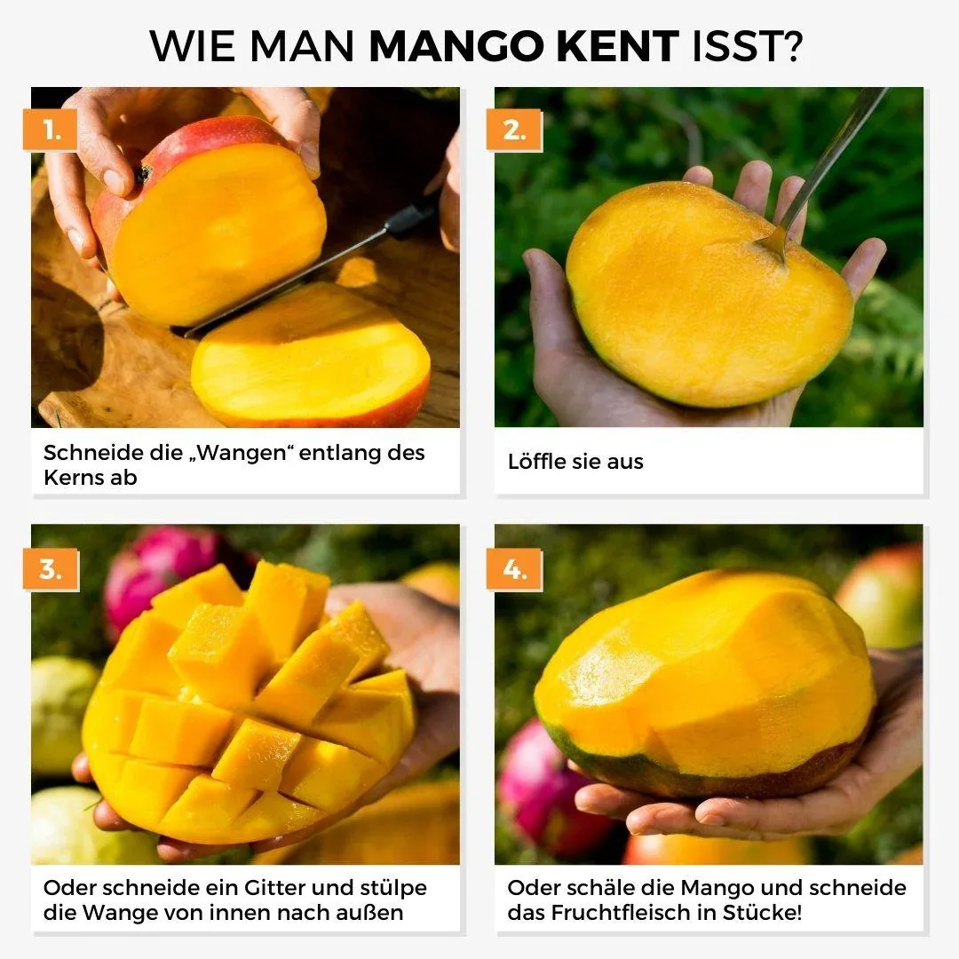 Mango Kent - Image 10