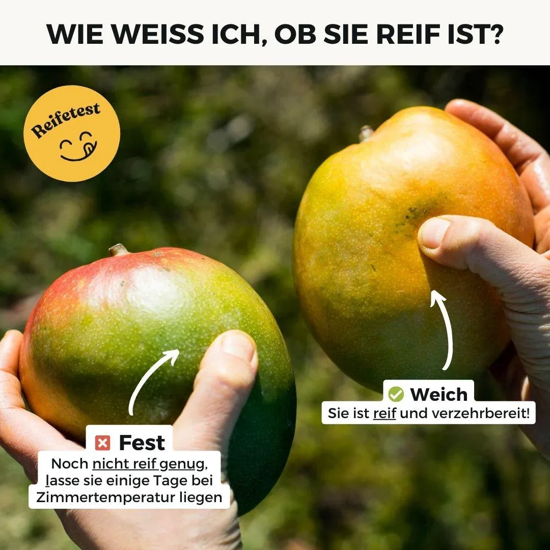 Mango Kent - Image 11