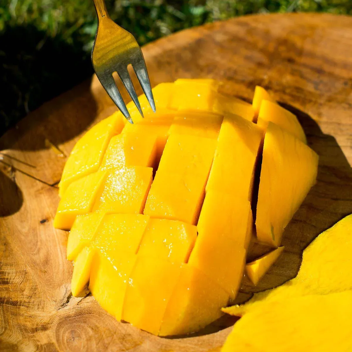 Mango Kent - Image 3