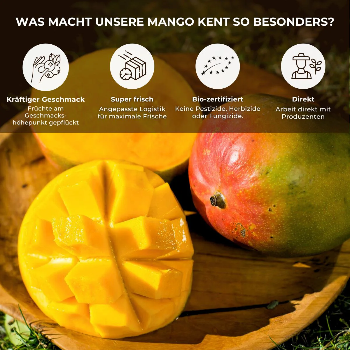 Mango Kent - Image 7