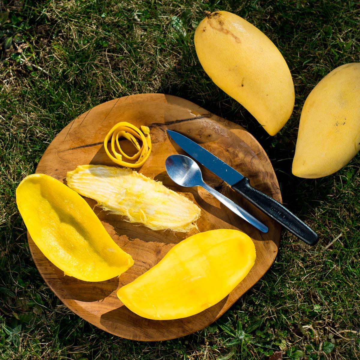 Mango Nam Dok Mai - Image 3