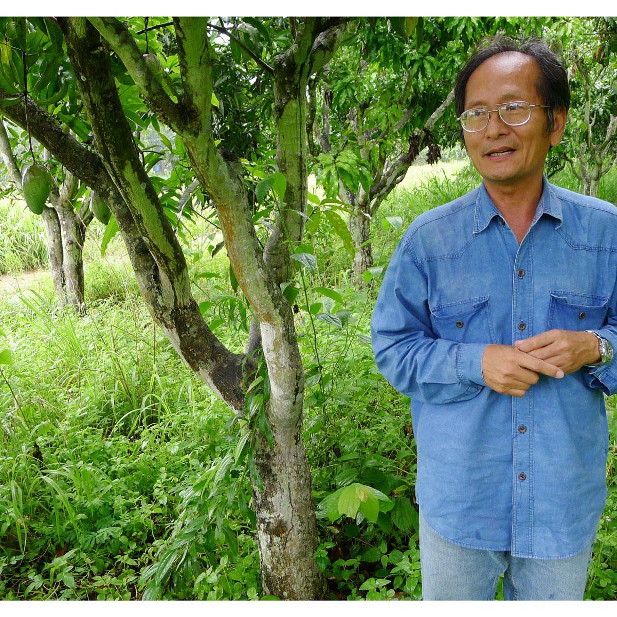 Mango Nam Dok Mai - Image 4