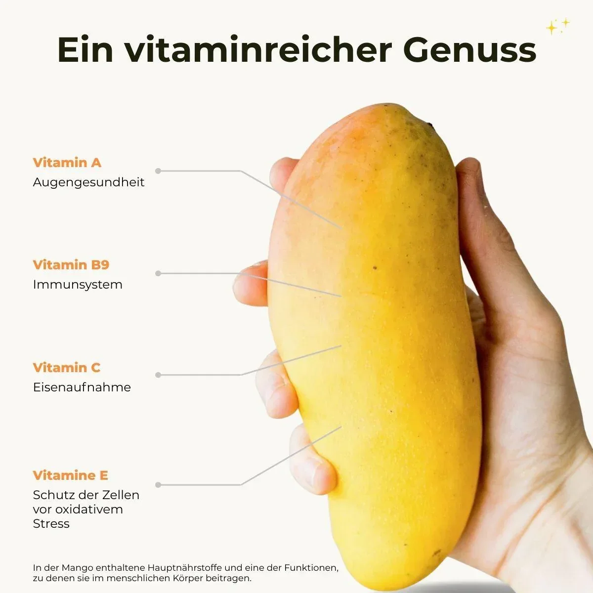 Mango Nam Dok Mai - Image 6