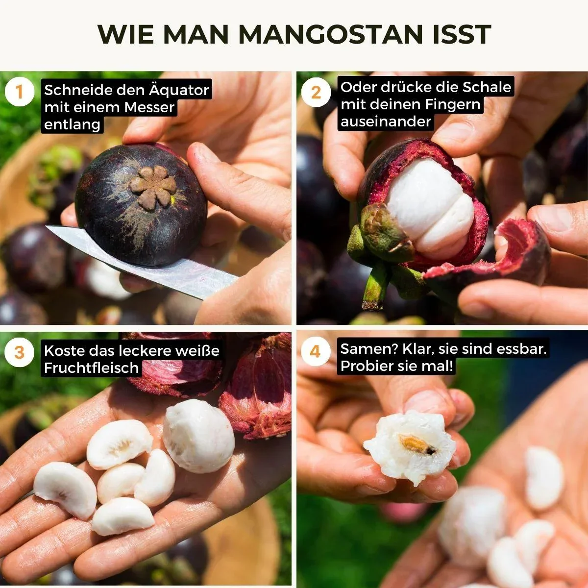 Mangostan - Image 15