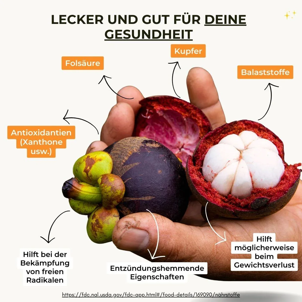 Mangostan - Image 16