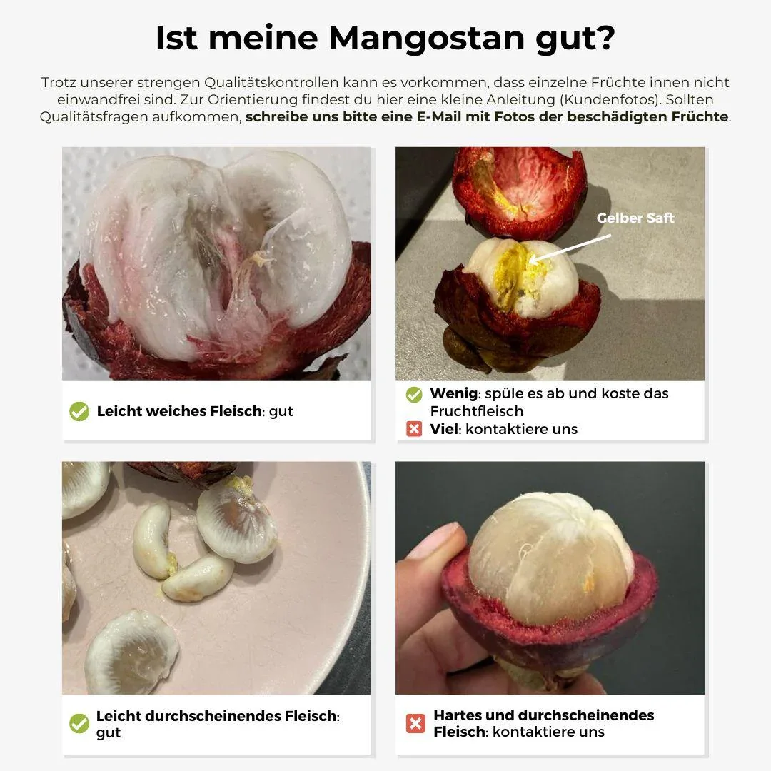 Mangostan - Image 18