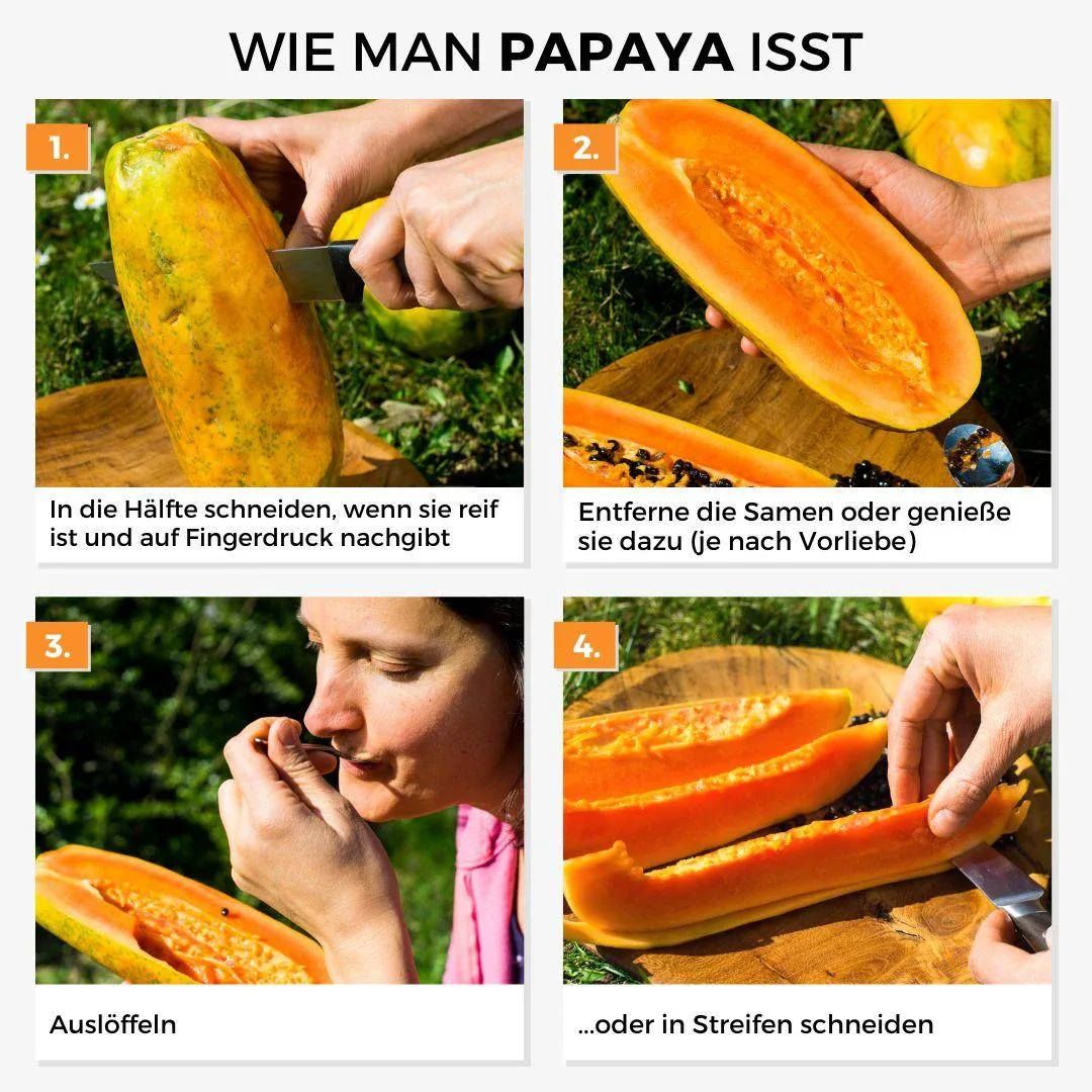 Papaya Golden - Image 5