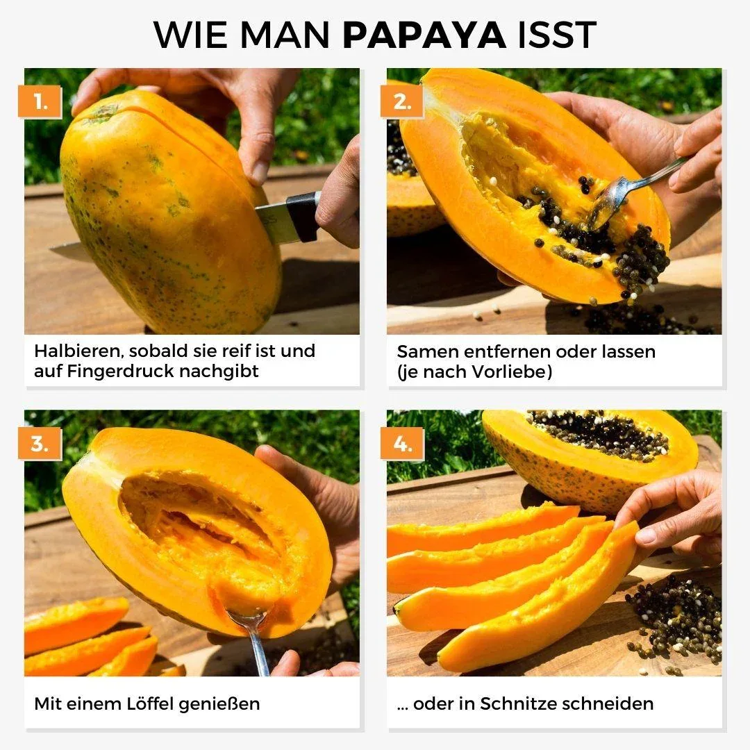 Papaya Red Lady - Image 5