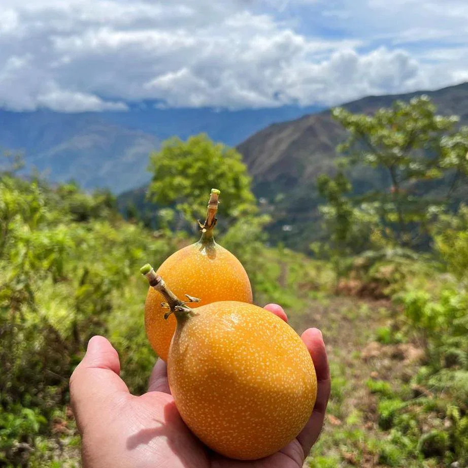 Süße Granadilla - Image 3