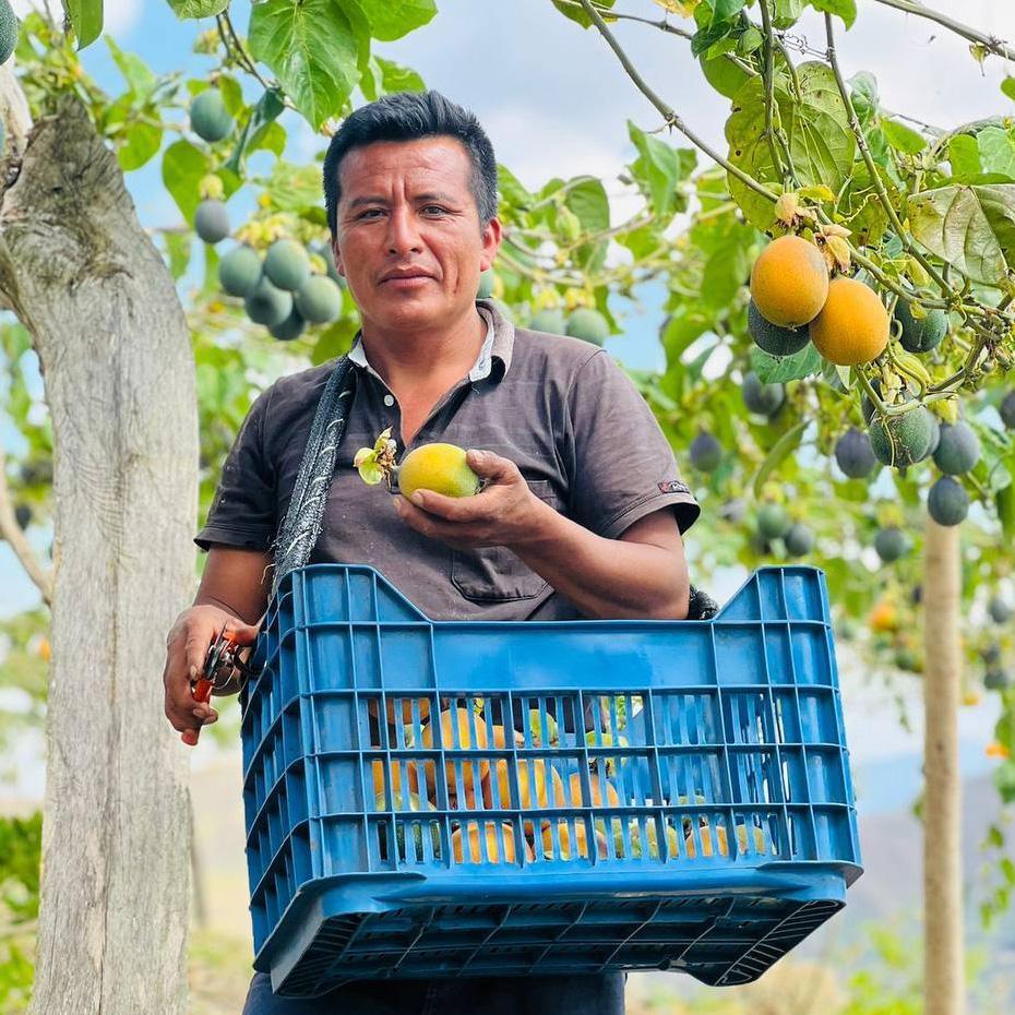 Süße Granadilla - Image 4