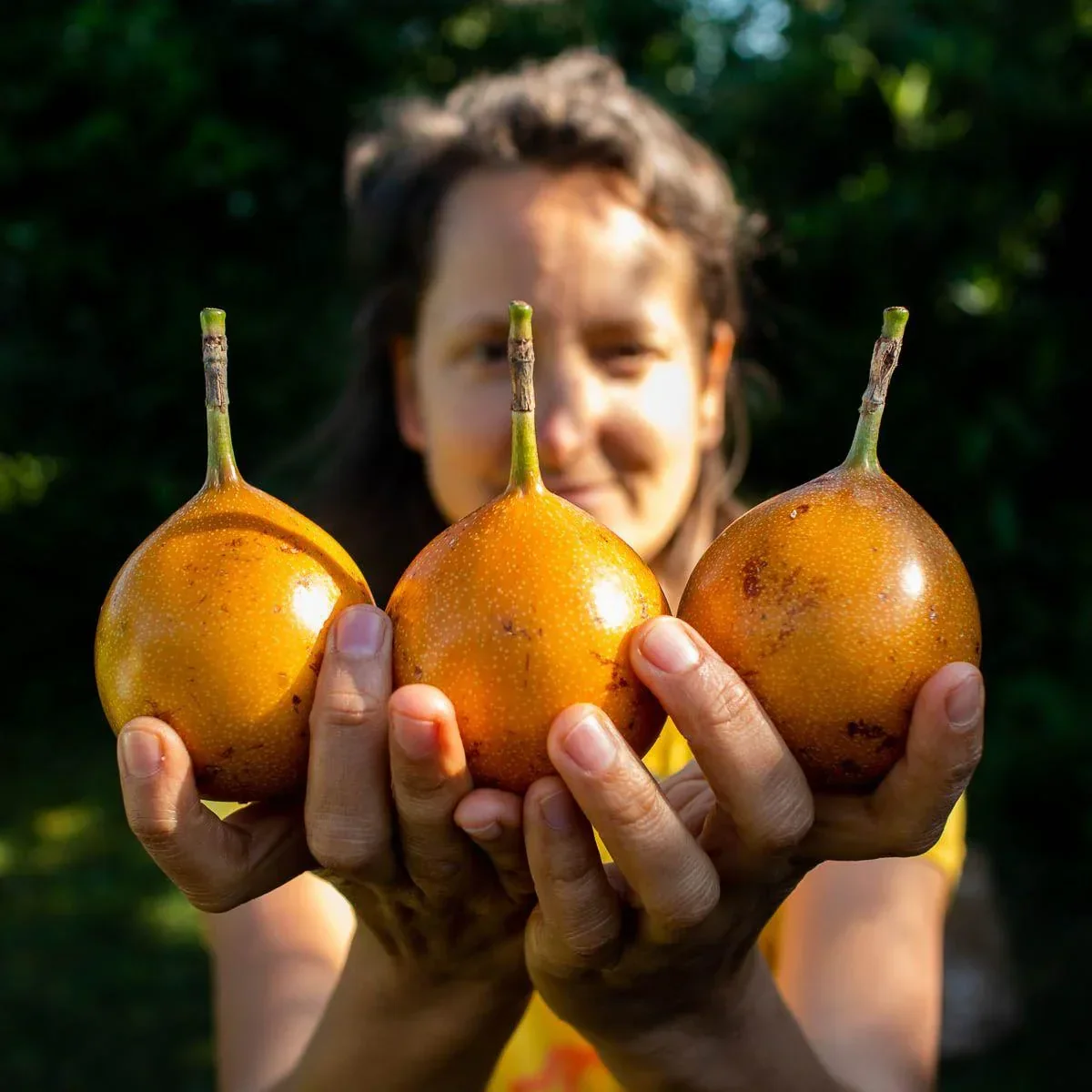 Süße Granadilla - Image 8