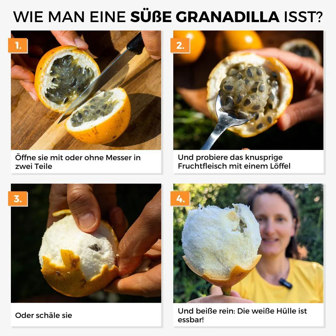 Süße Granadilla - Image 9